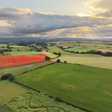 Neolithic temple of Cana Barn Henge