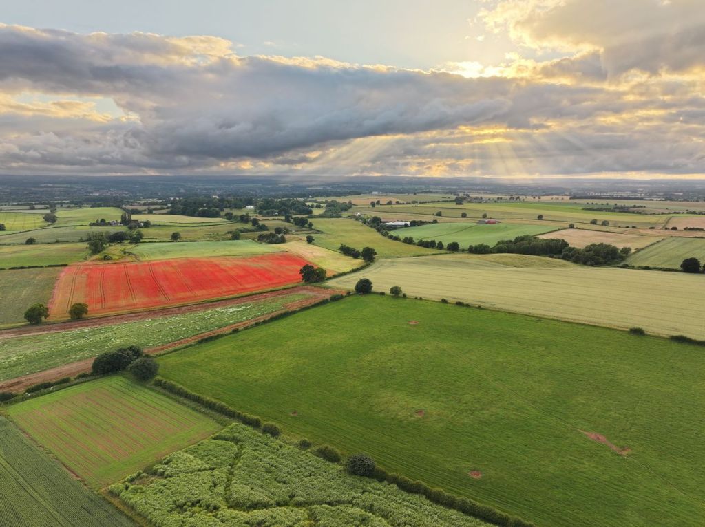 Neolithic temple of Cana Barn Henge