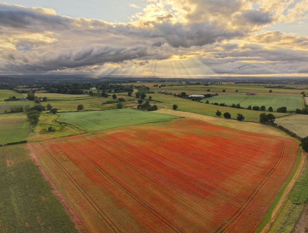 Neolithic temple of Cana Barn Henge