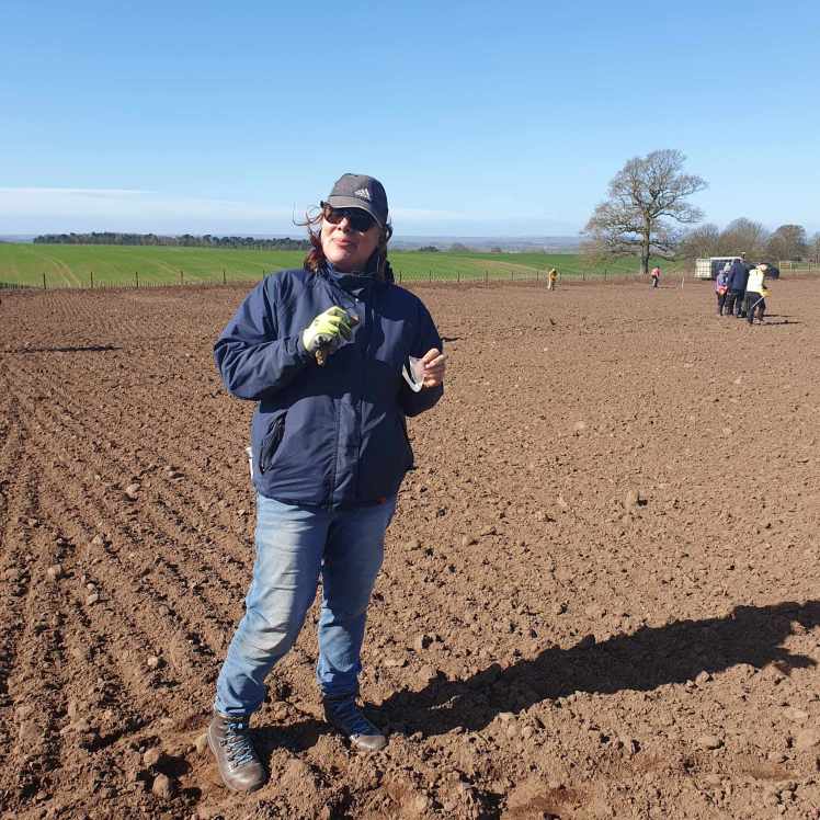 Fieldwalk at Hutton Moor
