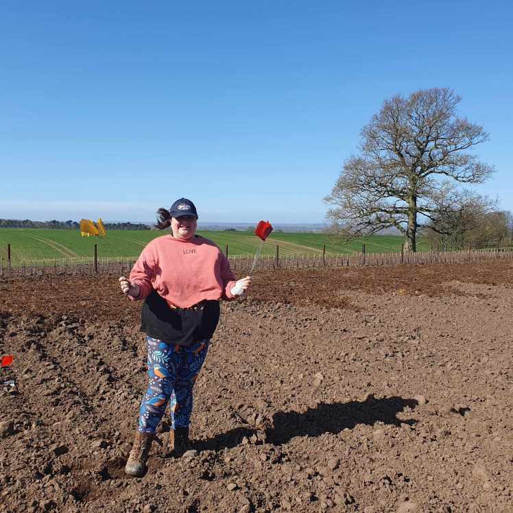 Fieldwalk at Hutton Moor