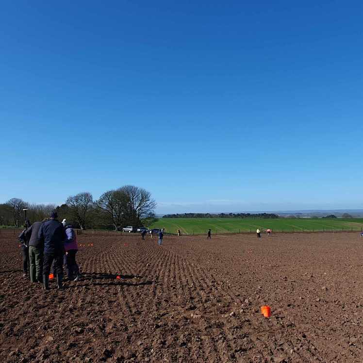 Fieldwalk at Hutton Moor