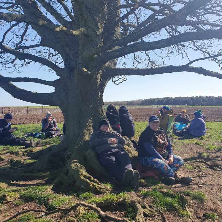 Fieldwalk at Hutton Moor