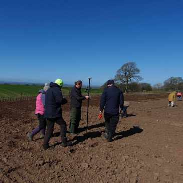 Fieldwalk at Hutton Moor