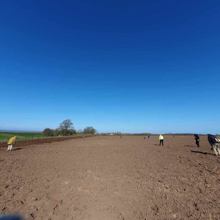 Fieldwalk at Hutton Moor
