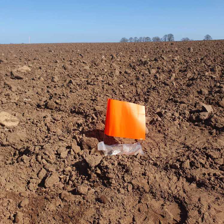 Fieldwalk at Hutton Moor